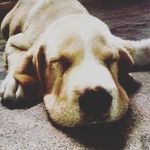 Larry Vera - @larryfidel.veracala - Instagram