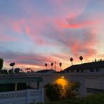 Larry Verner - @verner.larry - Instagram