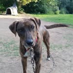 Larry Volk - @larry.volk.3998 - Instagram