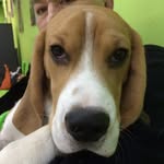 Larrybu@msil.ru - @larryvolkonskaya - Instagram