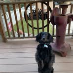 Larry Vowell - Facebook