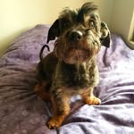 Larry: ESTOY PERDIDO en Maipu - @larryvuelve - Instagram
