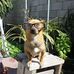 Larry Vu - Facebook