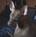 Larry Walters - Facebook