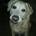Larry Waldrep - Facebook