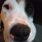 Larry Waldrip - Facebook