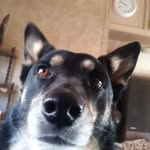 larry waldrip - @larrytrump2022 - Instagram