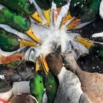 Larry Wardlow - @larry.wardlow.3 - Instagram