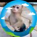 Larry Wardlow - Facebook