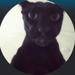 Larry - @larrywashere_officialevilburga - Instagram