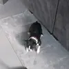 Larry was here🤠 - @larry.was.here8 - TikTok