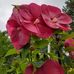 Larry Wayne - Facebook