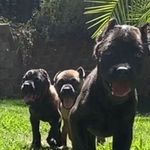 Larry Webber - @spyboy1967 - Instagram