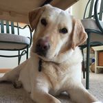 Larry Webber - @lar.bear1 - Instagram
