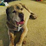 Larry Webber - @lastlordofthe7towers - Instagram