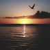Larry Wegner - Facebook