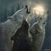 Larry Wehr - Facebook