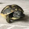 Lars Weishaar - @larsweishaar - TikTok
