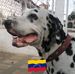 Larry Well - Facebook