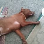 Larry Wells - @larry.wells.56679 - Instagram
