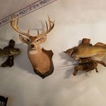 Larry Wertman - @wertmanlarry - Instagram