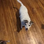 Larry Wertman - Facebook