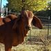Larry Wessel - Facebook
