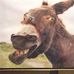 Larry Westerfield - Facebook