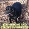 Larry Westerfield - @larrywesterfield - TikTok
