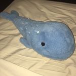 Larry The Whale - @larry_whale - Instagram