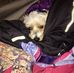 Larry Weitzell - Facebook