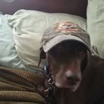 Larry Whitener - @whitenerlarry - Instagram