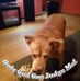 Larry Widener - Facebook