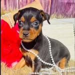 Larry A Whitmarsh - @whitmarshlarry0 - Instagram
