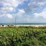 larrywhitmer - @larrywhitmer8 - Instagram