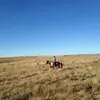 Larry Whitt - @larrywhitt3 - TikTok