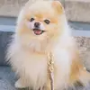 Larry Wick - @larry.wick7 - TikTok