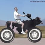 Larry Wilber - @olddude6900 - Instagram