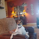 Larry Wilkes - @larry.wilkes.35 - Instagram