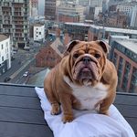 @larrywilton2 - Instagram