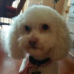 Larry Winchell - @larry.winchell.5 - Instagram