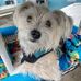 Larry Winden - Facebook