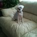 Larry Wines - Facebook