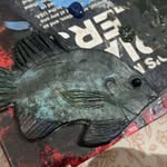 John - @larrywinkle111 - Instagram