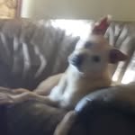Larry Dean Winkley - @larrywinkley - Instagram