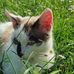 Laura Winkelmann - Facebook