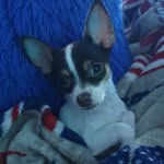 LARRY - @larry_winner - Instagram