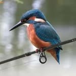 Larry Winter - @larry2643 - Instagram