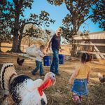 Larry Wisdom - @larry.wisdom.75 - Instagram