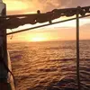 Larry Wiseman - @larrywiseman7 - TikTok